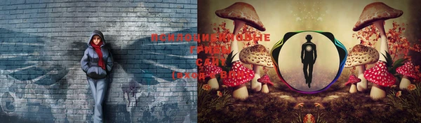 дурь Зерноград